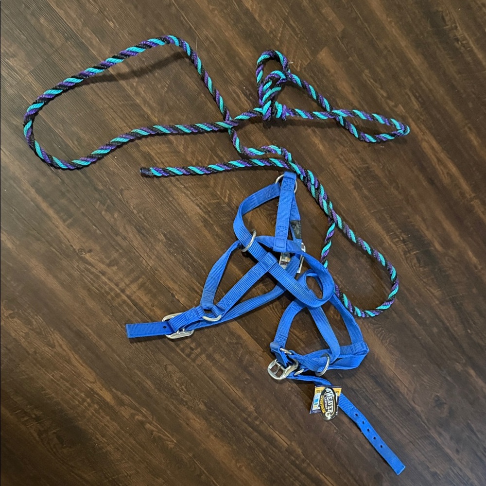 Blue Horse Halter with Rope